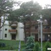 Ustka Apartamenty, Apartament Pod Sosnami - Budynek jest otoczony zielenią, a do okien zaglądają korony sosen